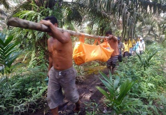 Geger, Warga Temukan Nelayan di Pelalawan Riau Tewas di Kebun Sawit