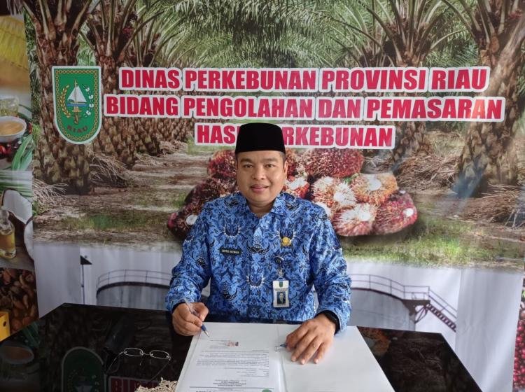 Selain Sawit, Ini 3 Komoditi Perkebunan di Riau Yang Mengalami Kenaikan