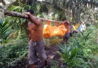 Geger, Warga Temukan Nelayan di Pelalawan Riau Tewas di Kebun Sawit