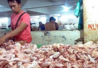 Harga Daging Ayam Tinggi di Pekanbaru, Penyebabnya Ini