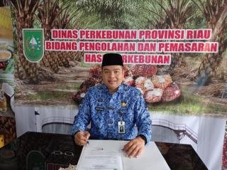 Selain Sawit, Ini 3 Komoditi Perkebunan di Riau Yang Mengalami Kenaikan