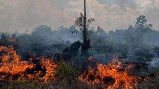 BMKG Pekanbaru Mencatat Ada 32 Titik Panas di Provinsi Riau