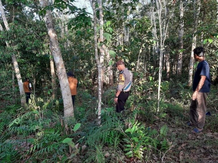 Beruang Madu Berkeliaran di Pemukiman Desa Teratak Baru Kuansing