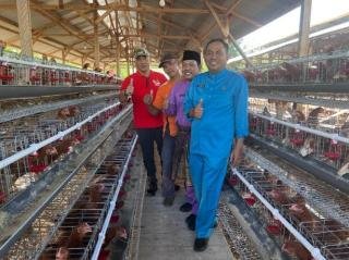Bupati Adil Optimis Pemenuhan Kebutuhan Telur di Meranti