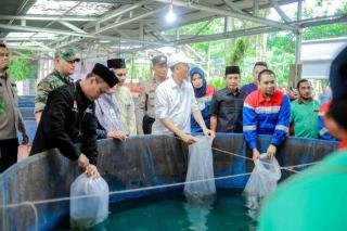 Perkuat Ketahanan Pangan, Pertagas Hadirkan Program Budidaya Ikan Gurami di Dumai