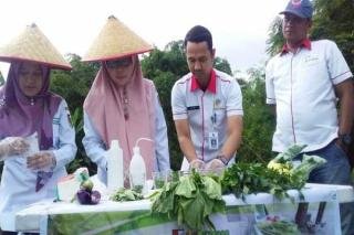 Disketapang Pekanbaru Uji Residu Pestisida dan Kimia Berbahaya di KWT Cemara Gobah