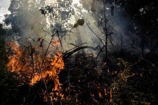 Antisipasi Kemarau 2023, DLHK Riau Minta Perusahaan Siaga Karhutla