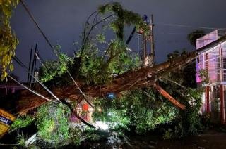 Pohon Tumbang, Listrik Sebagian Wilayah Pekanbaru Padam