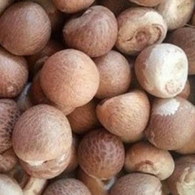 Naik Rp690, Harga Pinang Kering di Riau Jadi Rp6.710
