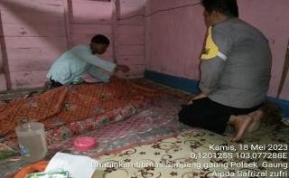 Warga Inhil Riau Tewas Diterkam Harimau Saat Cari Kayu di Hutan