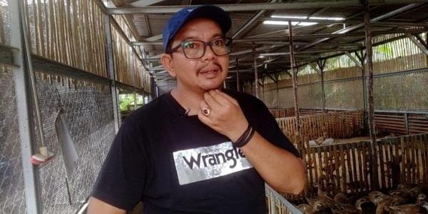 Budidaya Bebek Petelur Salah Satu Bisnis Menjanjikan di Pekanbaru