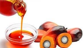 Harga Sawit Turun, Ini Kata Gubernur Syamsuar