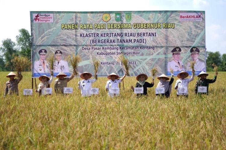 Lumbung Pangan, Gubri Syamsuar Siap Bantu Tingkatkan Produksi Padi di Inhil