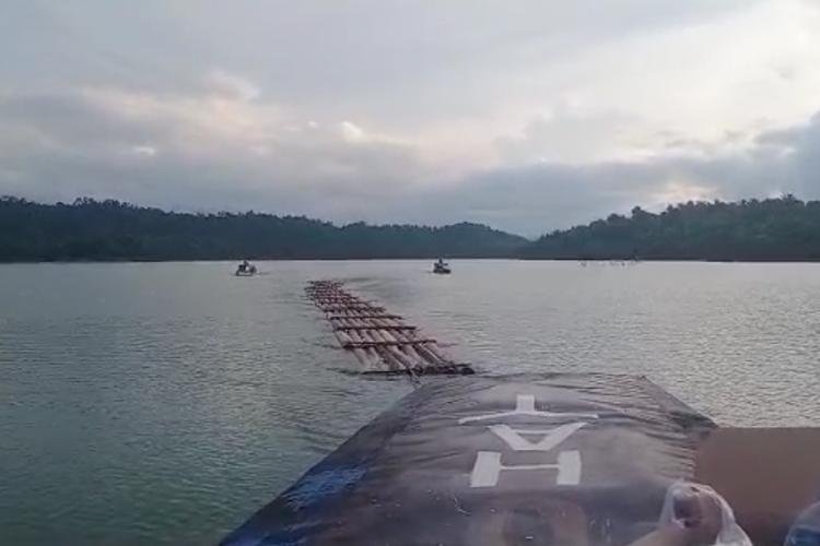 DLHK Riau: Ratusan Tual Kayu Diduga Hasil Ilog di Sungai Gulamo Terindikasi dari Pangkalan Sumbar