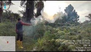 Kawanan Gajah Liar di Rumbai Digiring ke Tahura Minas