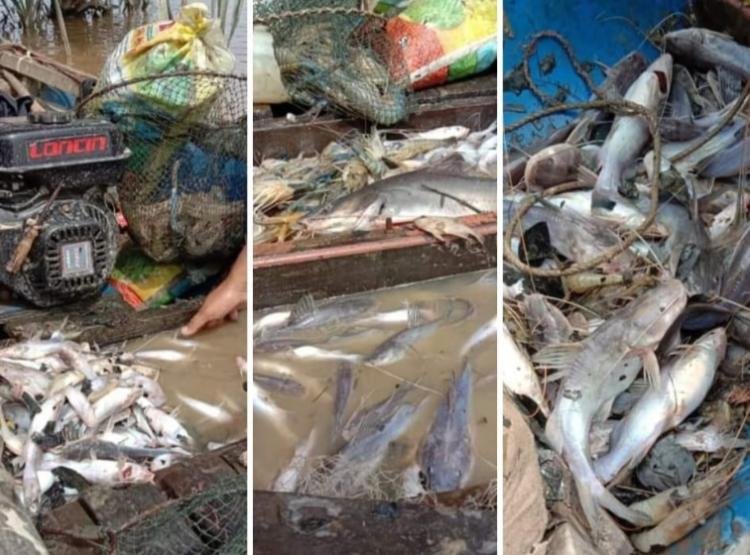 Banyak Ikan Mati di Sungai Siak, Ini kata DLHK Riau