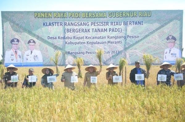 Gubri Syamsuar Panen Raya di Desa Kedabu Rapat, Plt Bupati Meranti Sambut Semringah