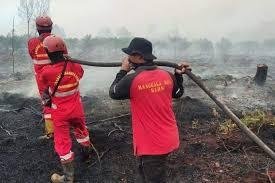 Karhutla di Dumai Berhasil Dipadamkan Petugas Gabungan