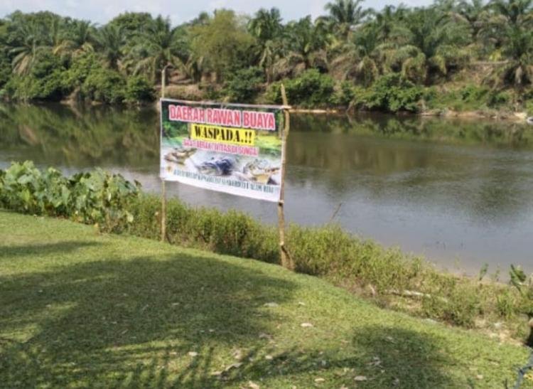 Sudah Disetujui Pusat, Tahun Ini Pemko Pekanbaru akan Terima 707 P3K