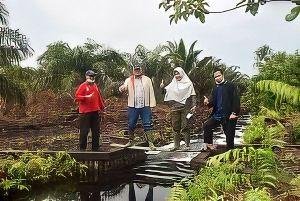 TP BRGM DLHK Riau Bangun 37 Sekat Kanal, 225 Dalam Pemeliharaan
