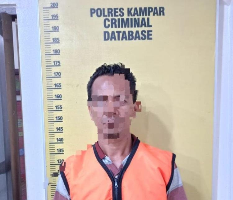 Polisi Tangkap Pelaku Bakar Lahan di Desa Kualu Nanas Kampar