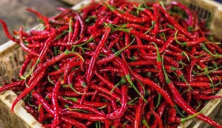 Harga Cabai di Pekanbaru Semakin Pedas, Ini Upaya Dari Pemerintah