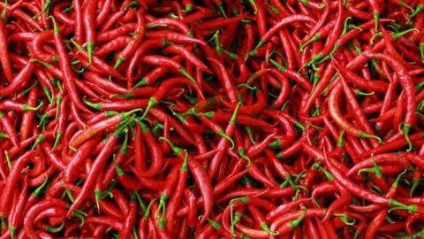 Harga Cabai di Pekanbaru Naik 