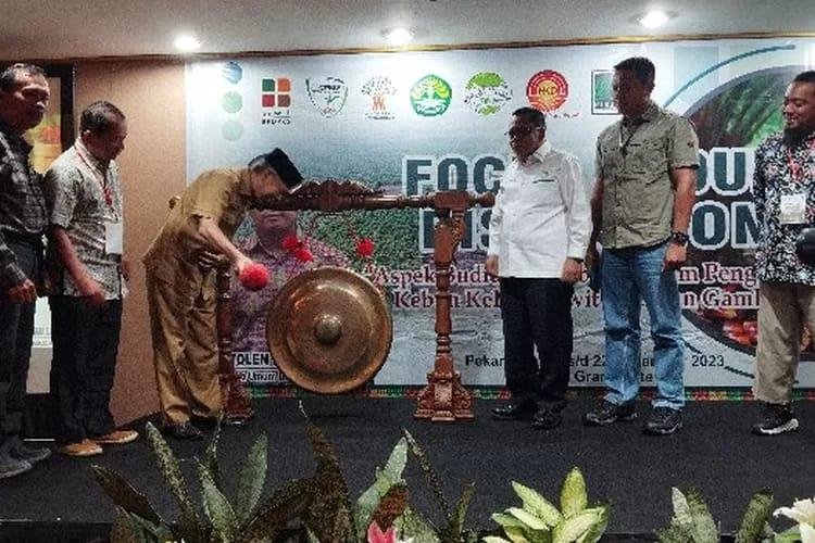 Disbun Riau Identifikasi 5.600 Hektare Kebun Sawit untuk Tumpang Sari