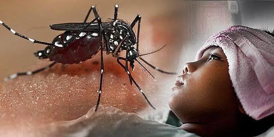 Masyarakat Diminta Waspada, DBD di Riau Tembus 1.537 Kasus