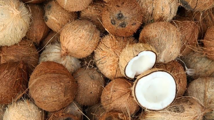 Berikut Pergerakan Harga Komoditi Perkebunan di Riau pada 15 Februari 2024