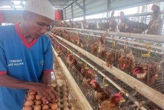 WBP Lapas Kelas IIA Pekanbaru Diajarkan Beternak Ayam dan Bebek Petelur