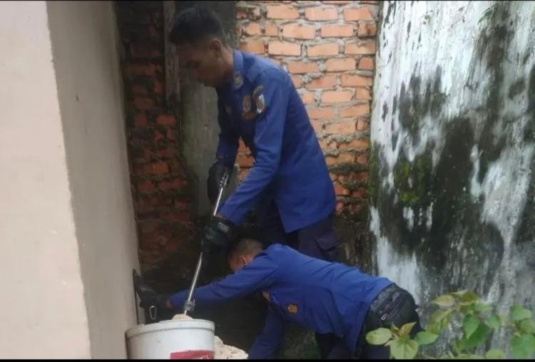 Damkar Pekanbaru Evakuasi Biawak di Pipa Pembuangan Air Milik Warga 