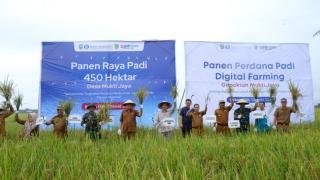 Demplot Digital Farming Rohil Panen Raya Perdana