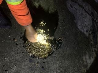 Tim Damkar Pekanbaru Eksekusi Sarang Tawon di Rumah Warga