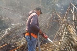 Karhutla di Kepulauan Meranti, Tim Gabungan Berjibaku Padamkan Api