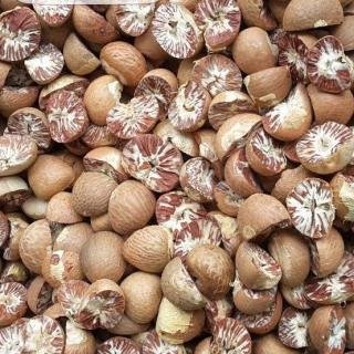 Cek Harga Pinang Kering, Kopra, dan Kelapa di Riau Minggu Ini
