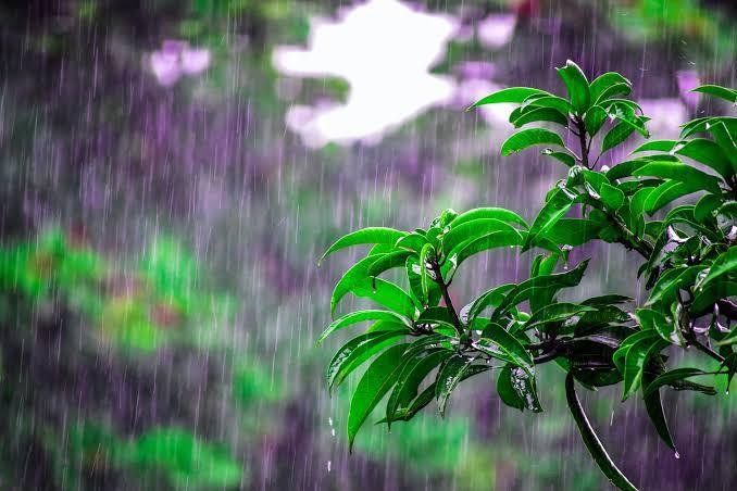 Hari Ini Sebagian Wilayah Riau Berpotensi Diguyur Hujan