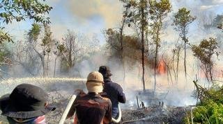 Karhutla di Sungai Apit Siak Berhasil Dipadamkan