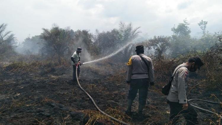 Karhutla Mulai Terpantau di 3 Daerah di Riau, Petugas Cepat Beraksi Padamkan Api