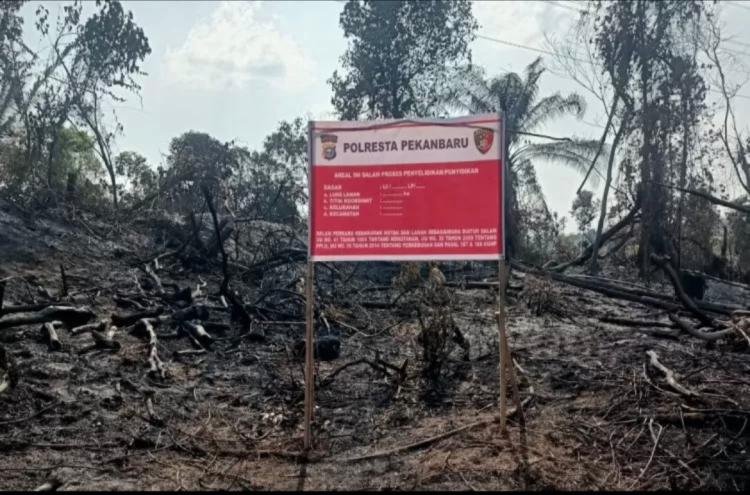 Petani Sayur di Pekanbaru Ditangkap Usai Bakar Lahan Milik PT Pertamina Hulu Rokan