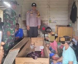 Kepala Putus, Pekerja Kebun PT SAS Diterkam Harimau Sumatra hingga Tewas
