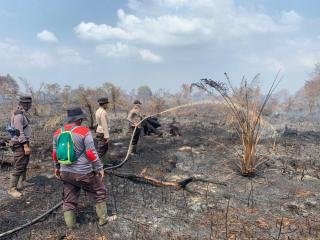 Petugas Gabungan Berjibaku Padamkan Karhutla di Rohil, 37 Hektare Lahan di 6 Kecamatan Terbakar