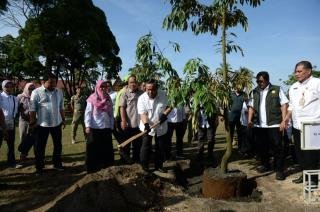 Puluhan Pohon Bibit Durian Musang King Ditanam di Halaman Kediaman Gubernur Riau 