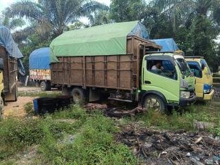 Pemilik Empat Truk Memuat Kayu Ilog Kabur Saat Ditangkap di Kampar