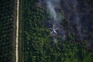 Lanud Rsn Pantau Karhutla di Riau dari Udara