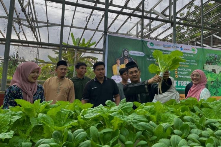 Panen Sayur Hydroponik, Cara Mahasiswa Dukung Swasembada Pangan di Riau