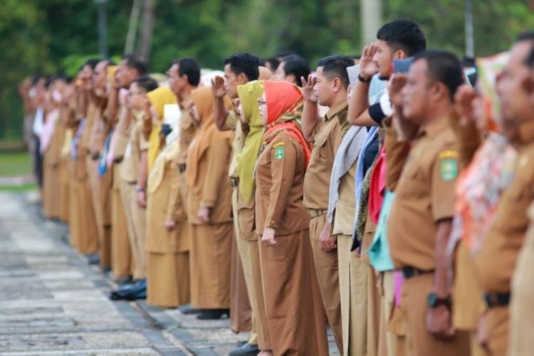 Pemkab Siak Buka Penerimaan CPNS, Cek Jadwal dan Formasinya di Sini