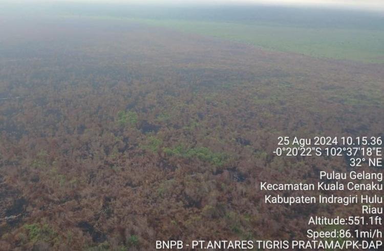 Kebakaran Hutan di Kuala Cenaku Indragiri Hulu Padam Total, Riau Nihil Karhutla
