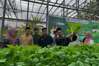 Panen Sayur Hydroponik, Cara Mahasiswa Dukung Swasembada Pangan di Riau