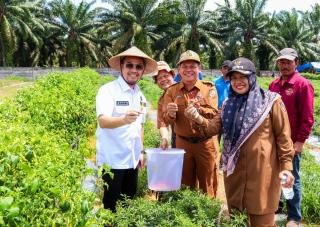 Persiapan Program Makan Siang Gratis, Pj Wali Kota Cek Budi Daya Telur, Ikan, dan Sayur